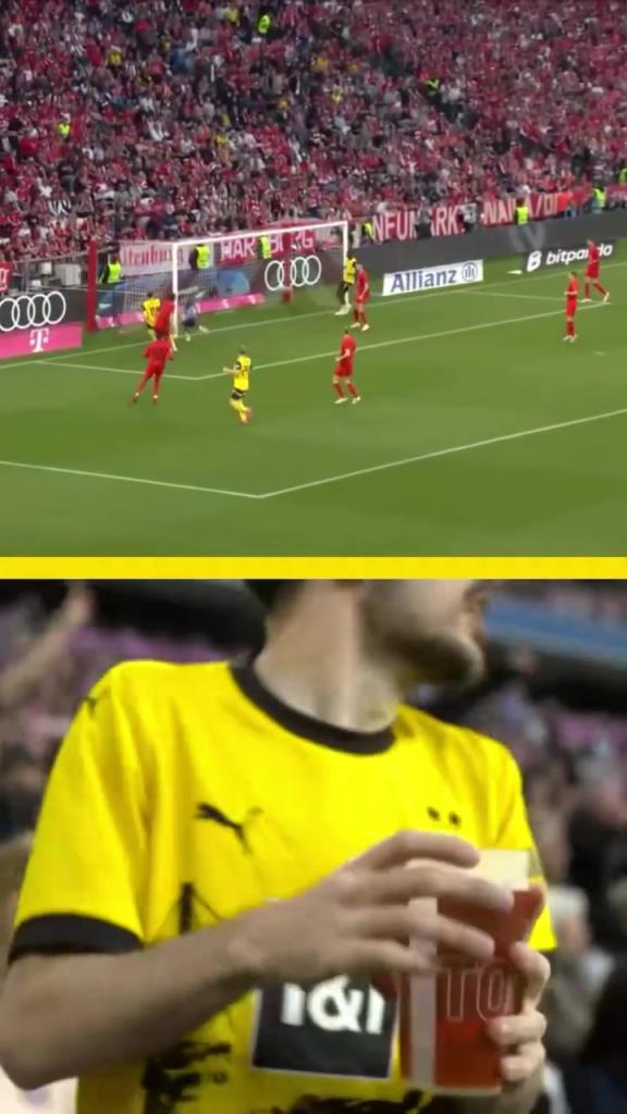 勇者無懼！這是真多特球迷！在拜仁球迷區(qū)一個(gè)人肆意慶祝！